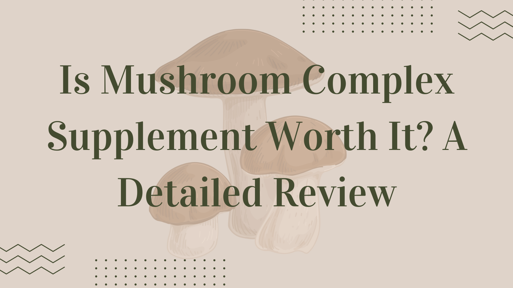 Is Mushroom Complex Supplement Worth It? A Detailed Review