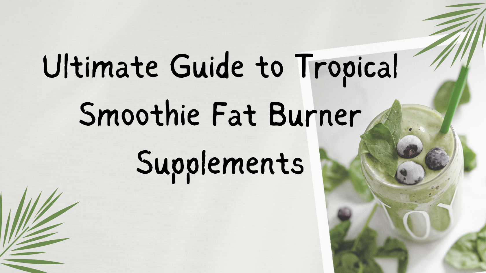 Ultimate Guide to Tropical Smoothie Fat Burner Supplements